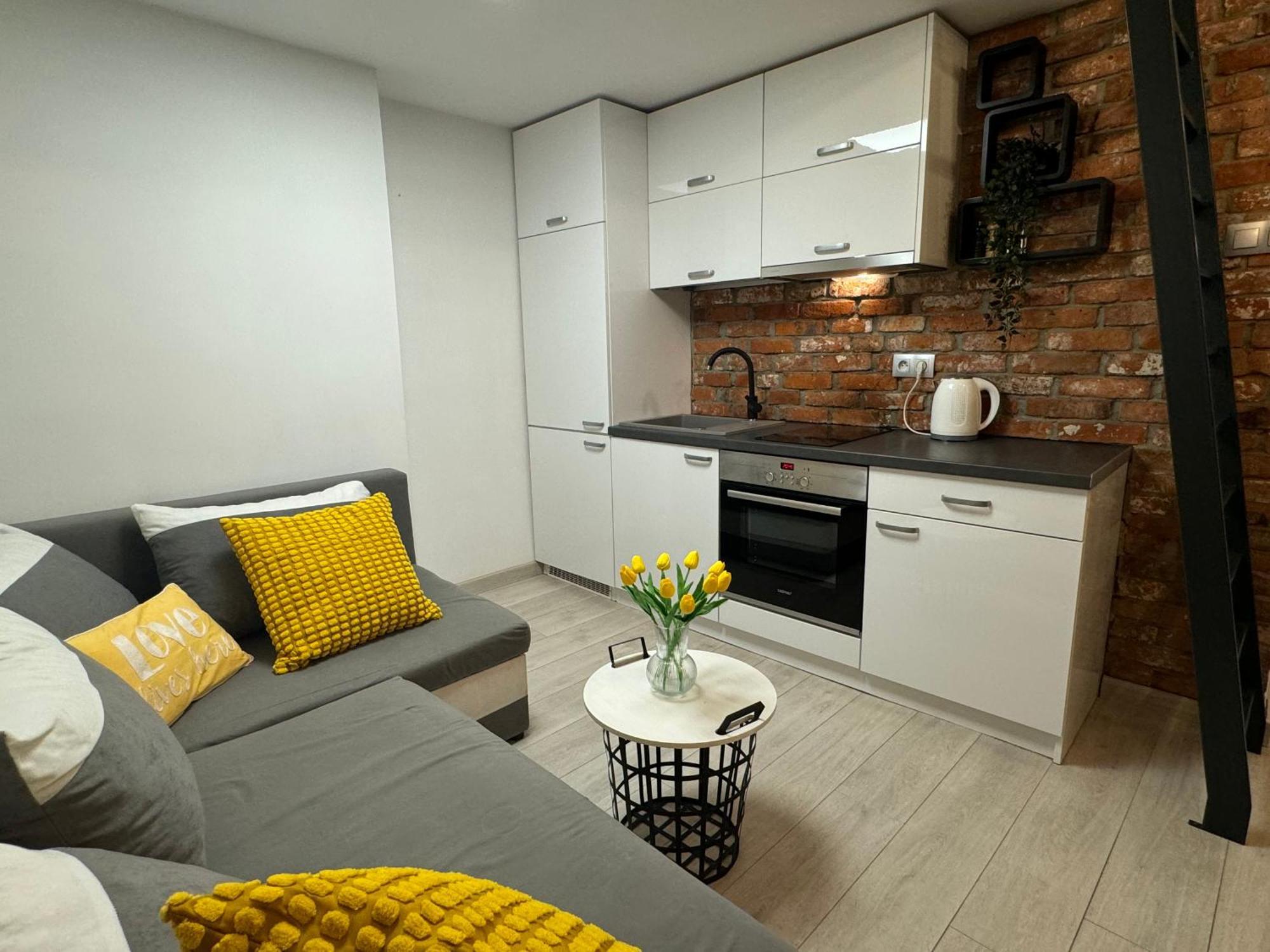 Apartmán Salwator Loft Krakov Exteriér fotografie